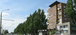 У Запоріжжі вирубають 37 дерев заради облаштування паркувальних кишень