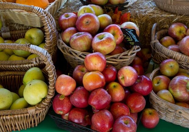 Где в эти выходные в Киеве пройдут продуктовые ярмарки. Адреса 