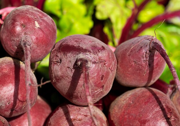 Где в эти выходные в Киеве пройдут продуктовые ярмарки. Адреса 