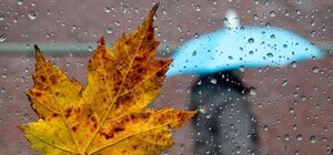 С дождями и дымкой: какая погода будет в Одессе в эти выходные