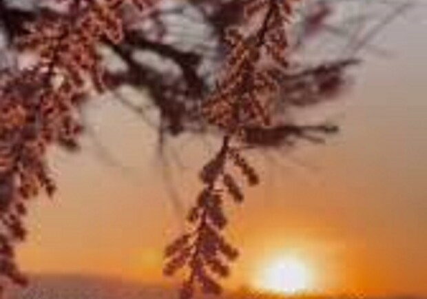 И после самой темной ночи приходит рассвет. - фото