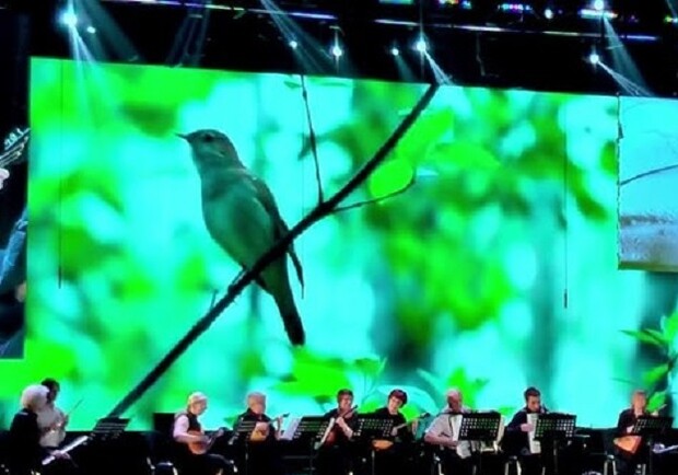 NotaBene: Фантазии, темы, вариации - фото