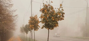 Возможны туманы: какая погода будет в Одессе на следующей неделе