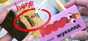 В Украине начали продавать шоколад с настоящими личинками жуков