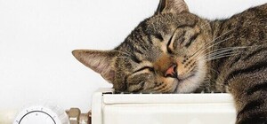 В Днепре официально начался отопительный сезон: кто будет с теплом в первую очередь