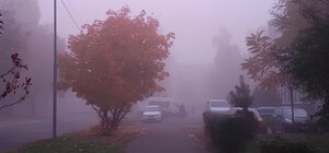 Туманний листопад: яка погода буде в Одесі наступного тижня