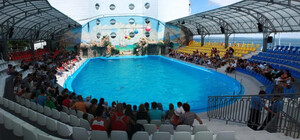 В Одессе арестовали здание дельфинария: владельцы должны оплатить городу 12 миллионов