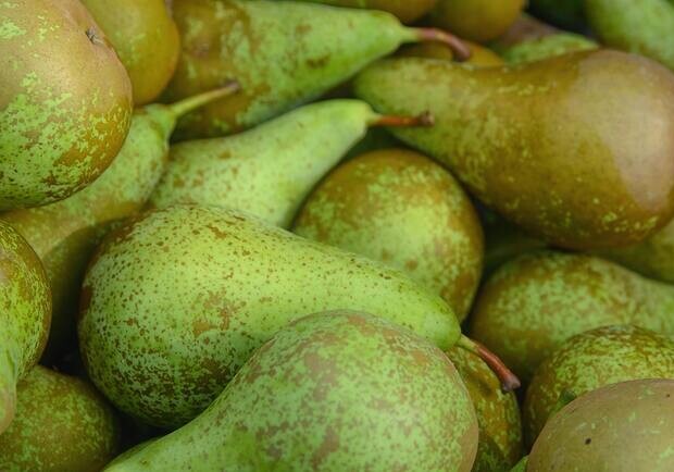 Де на цьому тижні у Києві пройдуть продуктові ярмарки. Адреси 