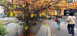 У квартирі у центрі Львова знайшли мертвою 17-річну дівчину 