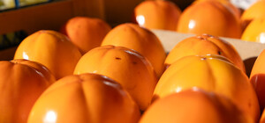 Где на этой неделе в Киеве пройдут продуктовые ярмарки. Адреса