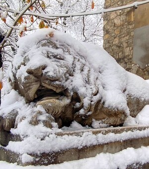 Як не стати жертвою холоду: прості зимові лайфхаки