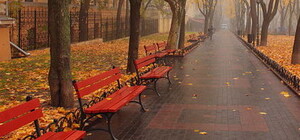 Лічені дні до зими: яка погода буде в Одесі цього тижня