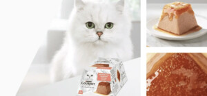 Purina® – експерт у харчуванні домашніх улюбленців