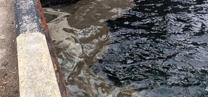 Забруднення Сухого лиману після обстрілів Одещини: яких збитків зазнало довкілля