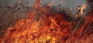 Очередной дроновый удар по Одесчине: на двух островах горит камыш