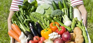 Фермеры юга Украины ежегодно теряют сотни миллионов долларов из-за нехватки воды: что стало причиной