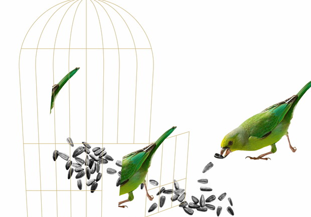 NotaBene: Бах, Куртаг, Шмурак