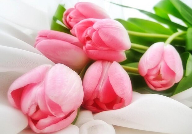 ВЕСНА. ЖІНКА. КОХАННЯ