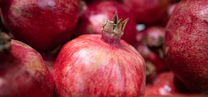 Де на цьому тижні у Києві пройдуть продуктові ярмарки. Адреси