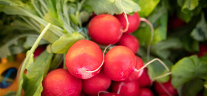 Де на цьому тижні у Києві пройдуть продуктові ярмарки. Адреси