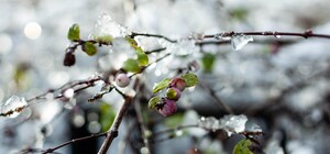 Задождит: какая погода будет в Харькове на этой неделе