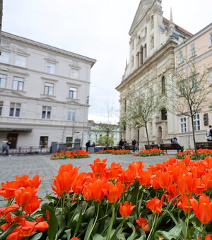 Вихідні у Львові: куди піти 25-26 квітня 