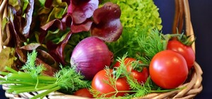 Где в эти выходные в Киеве пройдут продуктовые ярмарки. Адреса