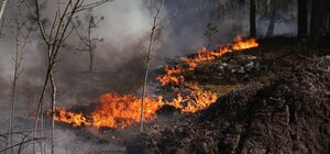 Пожежа у Чорнобильській зоні триває: МВС повідомило про рівень радіації в Україні на 8 травня