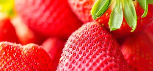 Где в эти выходные в Киеве пройдут продуктовые ярмарки. Адреса