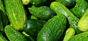 Где в эти выходные в Киеве пройдут продуктовые ярмарки. Адреса