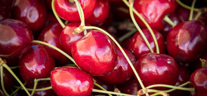 Де на цьому тижні у Києві пройдуть продуктові ярмарки. Адреси
