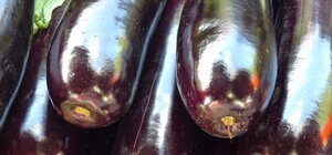 Де на цьому тижні у Києві пройдуть продуктові ярмарки. Адреси