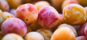 Где в эти выходные в Киеве пройдут продуктовые ярмарки. Адреса