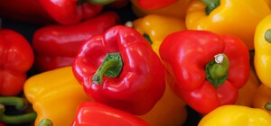 Где в эти выходные в Киеве пройдут продуктовые ярмарки. Адреса