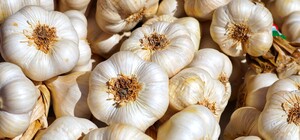 Где в эти выходные в Киеве пройдут продуктовые ярмарки. Адреса