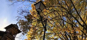 Якою буде погода у Львові у жовтні 