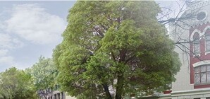 Ко Дню Независимости вокруг 