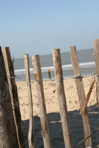 Предприниматели захватывают киевские пляжи для строительства.
Фото www.sxc.hu
