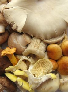 Покупать грибы с рук - небезопасно!
Фото www.sxc.hu