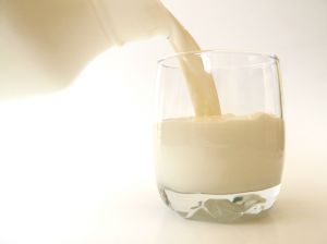 Теперь молок станет еще доступнее! Фото с сайта www.sxc.hu.
