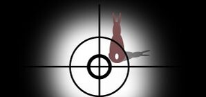 В Киеве отложили начало летне-осеннего сезона охоты