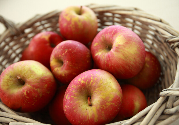 Яблоки – символ сегодняшнего праздника. Фото sxc.hu