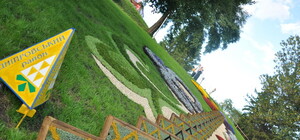 Гигантские 