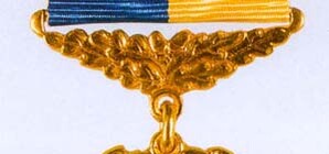 Виктор Янукович наградил запорожцев орденами