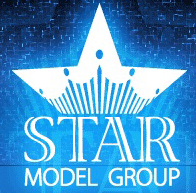 Справочник - 1 - STAR model group