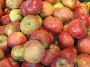 Яблоки закупают по 15 гривен за кило.
Фото sxc.hu