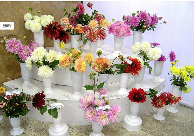 В Киеве открывается осенняя выставка цветов. Фото с сайта ботсада
