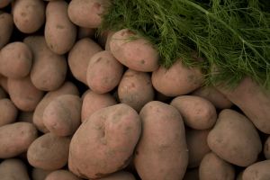 Цены на картошку будут стабильно низкими еще пару недель. Фото с сайта www.sxc.hu.