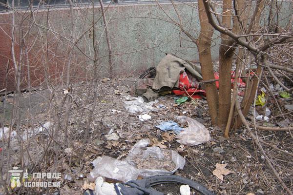 В столице составят рейтинг мусорок.
Фото vgorode.ua.