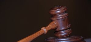 В Голосеевском районе уничтожили 100 гектаров зеленых насаждений